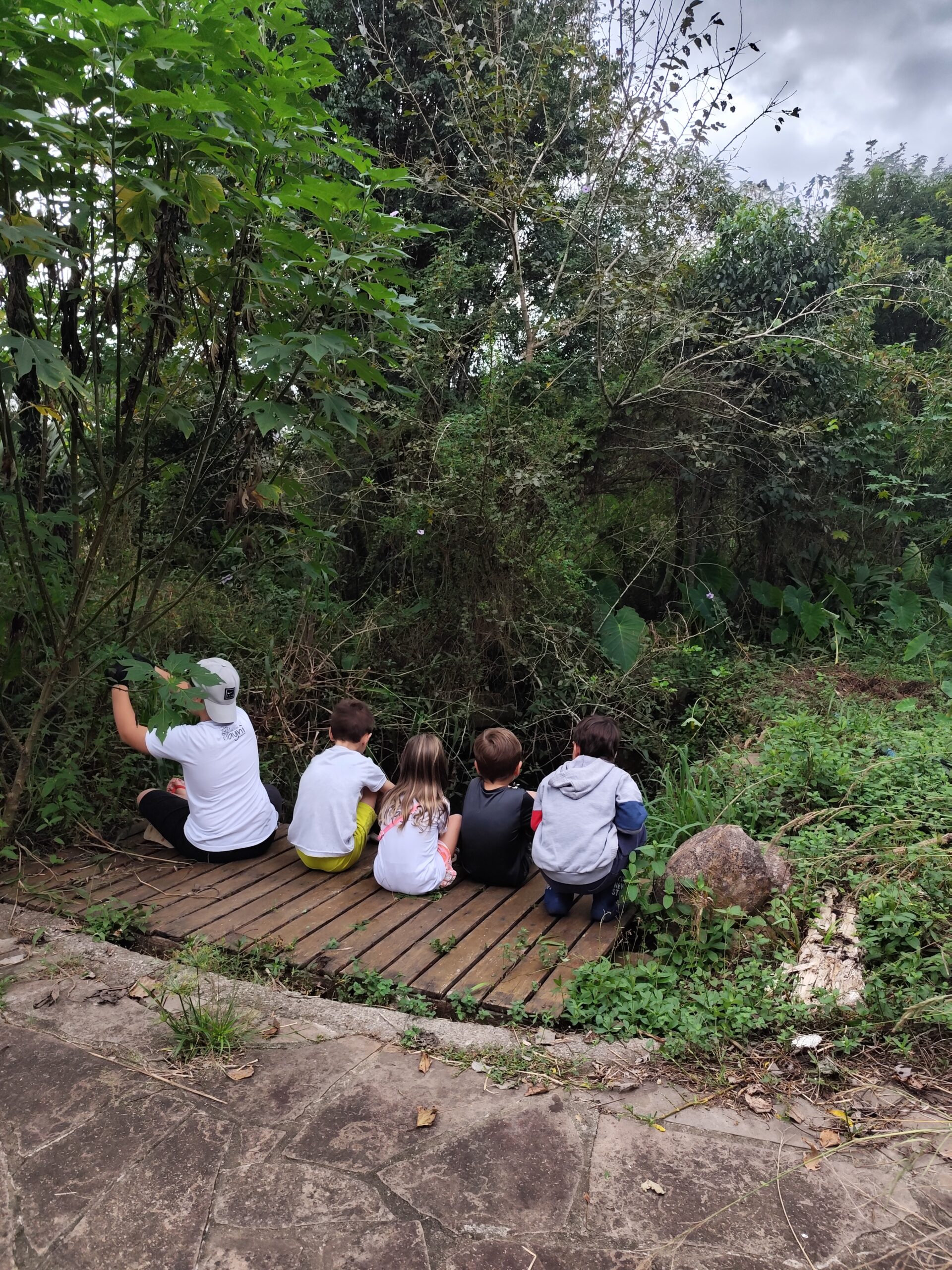Cidade Escola Ayni